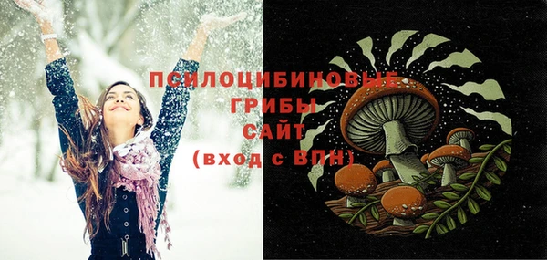 a pvp Алзамай
