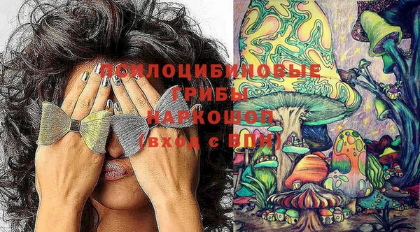 дмт Алексеевка